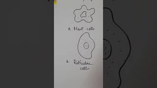 diagram series 7 ✏️cells of connective tissuenursingstudent nursingnotesanatomy anatomydiagram [upl. by Kacey149]