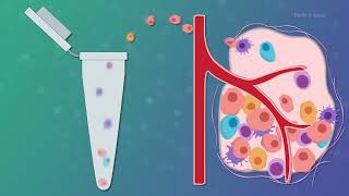 Singlecell analysis with nanopore sequencing [upl. by Aniretak]