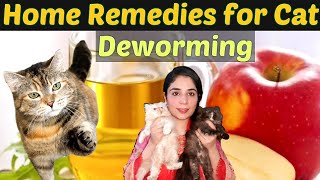 What home remedy can I use to deworm my cat Best Remedies For Cat Deworming  DrHira Saeed [upl. by Gona]