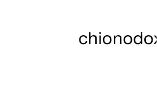 How to pronounce chionodoxa [upl. by Ainslee873]