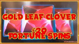 Gold Leaf Clover  £20 Fortune Spins [upl. by Eilahtan]