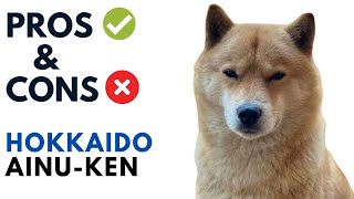 Hokkaido Dog Pros and Cons  Ainuken Advantages and Disadvantages [upl. by Eatnod138]