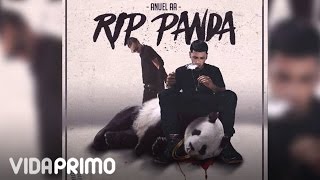 Anuel AA  RIP Panda ft Arcangel Official Audio [upl. by Auburta310]