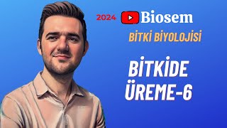 Bitki Biyolojisi  Bitkide Üreme6 Konu Anlatımı 12 Sınıf Biyoloji [upl. by Bedad]