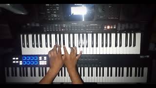 Rammstein  Weisses Fleisch Keyboard Cover [upl. by Blanka514]