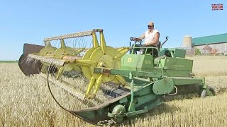 JOHN DEERE 800 Windrower Harvesting Wheat [upl. by Nawd]