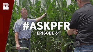 Combating Disease With Fungicide Applications  AskPFR Episode 6 [upl. by Atilrahc524]