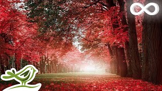 Beautiful Instrumental Study Music 📕 Relaxing Piano Music for Studying amp Focus Concentration 📙 [upl. by Beckett]