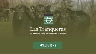 Las Tranqueras PR Y PC Lote 16 3 [upl. by Alracal]