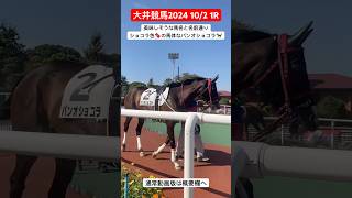 美味しそうな馬名と名前通りショコラ色🍫の馬体なパンオショコラ🐎 パンオショコラ ショコラ チョコ [upl. by Abbe895]