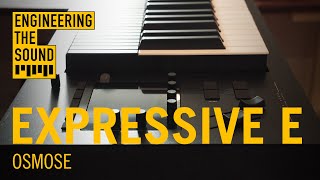 Expressive E Osmose  Full Demo and Review [upl. by Akemet321]