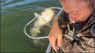 Thanksgiving Catfishing Trip Day 2 Trotline Fishing [upl. by Atiran]