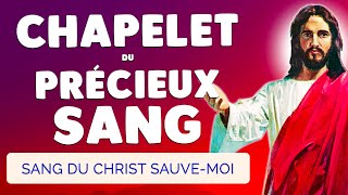 🙏 CHAPELET du PRÉCIEUX SANG 🩸 Sang du Christ SAUVEMOI [upl. by Palumbo]