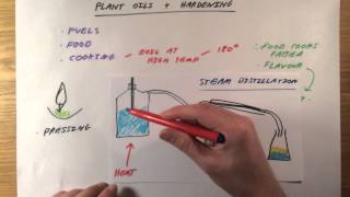 Plant Oils  Hardening  GCSE Chemistry [upl. by Swec356]