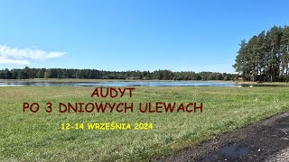 Przegląd rzek i rzeczek po 3 dniowych ulewach [upl. by Chavaree]