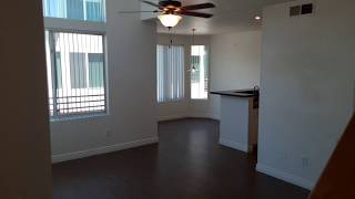 Pavilions on Central  Phoenix AZ  1 Bedroom Loft A4 Floor Plan WalkThrough [upl. by Annaej254]