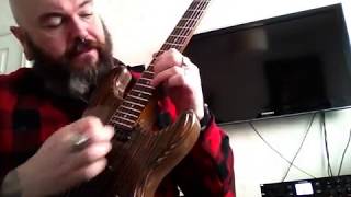 Gavsguitargarage Zebrawood ZW Stratocaster DemoReview [upl. by Indyc694]