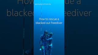 Freediving blackout rescue [upl. by Milore132]