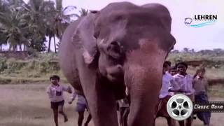 Aanachandam  Gajakesariyogam  Malayalam Movie Song [upl. by Jedediah]