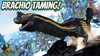 TAMING THE LEGENDARY GIGA KILLER THE BRACHIOSAURUS  Ark Modded Ep 25 [upl. by Mosnar664]