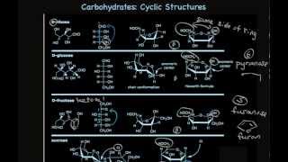 Cyclic Carbohydrate Structures Furanose and Pyranose Sugars [upl. by Annairdna468]