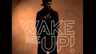 Avicii  Wake Me Up Official Instrumental [upl. by Ailemrac]