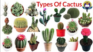 Types of Cactus  25 Types of Cactus  Cactus Name With Pictures  Cactus Plants Names  Cactus [upl. by Alaik]