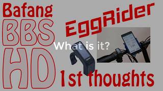 Eggrider V2 ebike Display on BBSHD  First Impressions [upl. by Ellicec865]