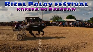 Rizal palay festival karera ng kalabaw 2024 full video [upl. by Bergren431]