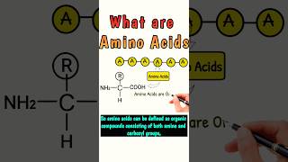 what are Amino Acids aminoacid aminoacids12 proteinstructure chemistry shortvideo shorts [upl. by Ive]