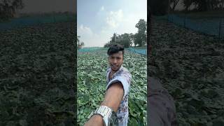 Pani fol tulta galam comady minivlog vlog shorts shortvideo minivlogs [upl. by Dearman]