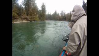 BC Steelheading  Vancouver Island  Cowichan River  Jumping Steelhead [upl. by Idahs]