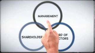 Corp 101 The Basics of Corporate Structure [upl. by Webber]