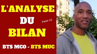 BTS MCO  BTS MUC  GESTION  LANALYSE DU BILAN  Partie 12 [upl. by Oglesby]