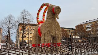 The Gavle Goat 2021  The world’s largest straw goat [upl. by Enohpesrep130]