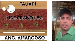 TAUARÍ MAÇARANDUBA E ANG AMARGOSO [upl. by Conrade]