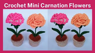 Crochet Mini Carnation Flowers  Crochet Tutorials [upl. by Ellecram]