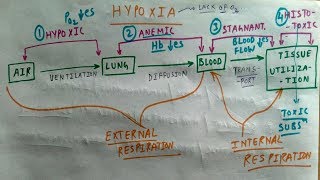 Hypoxia  Hypoxic Anemic Stagnant Histotoxic Hypoxia  Amazing Concept  TCML [upl. by Harihs100]