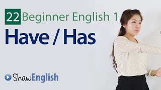 English Grammar Have  Has [upl. by Neelrihs75]