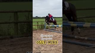 Meet Olly Murs the Pony horse equestrian showjumping horseriding pony horselover [upl. by Aihsatsan]