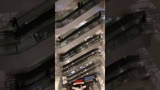 Shinsegae Centum City Escalator Busan Haeundae the worlds largest department store [upl. by Lodnar]