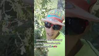 Trabajo cortando arboles🇲🇽 emigrantes usa inmigrantesenusa mexico viralvideo [upl. by Nosnek]