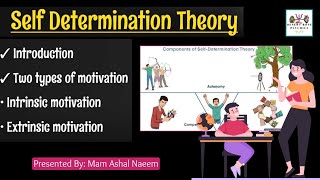 Self Determination Theory in Urdu amp Hindi  Types of Motivation  Intrinsic amp Extrinsic Motivation [upl. by Ecidnac]