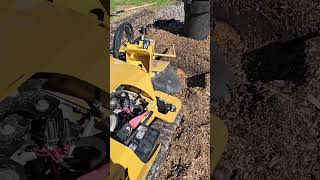 stump grinding stumpgrinder earning [upl. by Waylen]