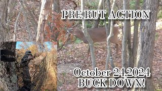 2024 PA Archery Self Filmed BUCK DOWN [upl. by Erv651]