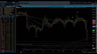 NASDAQ 100 amp SampP 500  Elliott Wave Daily Update 10232024 by Michael Filighera [upl. by Neelyt336]