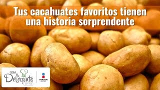 Tus cacahuates favoritos tienen una historia sorprendente  Cocina Delirante [upl. by Clark488]