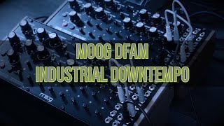 Moog DFAM industrial downtempo [upl. by Rakabuba]