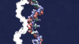 IBM DNA Transistor [upl. by Westberg]