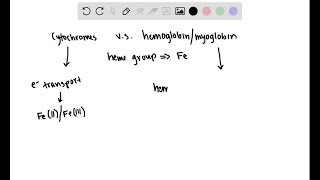 How do the cytochromes differ from hemoglobin and myoglobin in terms of chemical activity [upl. by Che]